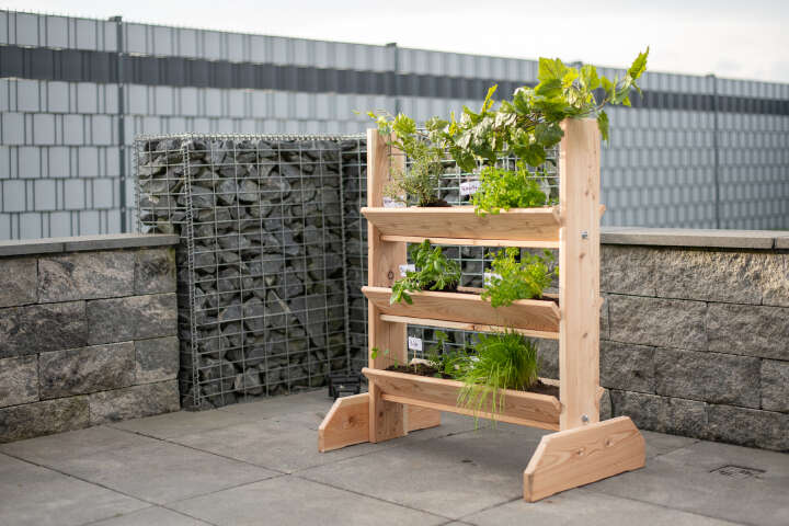 WESTMANN Kräuterregal Viktoria L